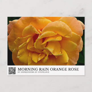 Ochtendregen Oranje Roos Briefkaart