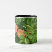 Ochtendrozen mok (Midden)