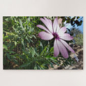 Ochtendrust: Bleke Roze Bloem met Zachte Bloemblad Legpuzzel (Horizontaal)