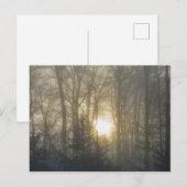 Ochtendstemming Briefkaart (Voorkant / Achterkant)