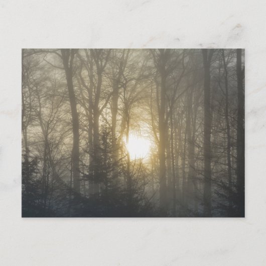 Ochtendstemming Briefkaart (Voorkant)