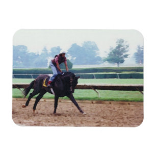 Ochtendtraining - race paard magneet