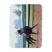 Ochtendtraining - race paard magneet (Verticaal)