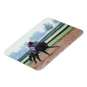 Ochtendtraining - race paard magneet (Linkerzijde)