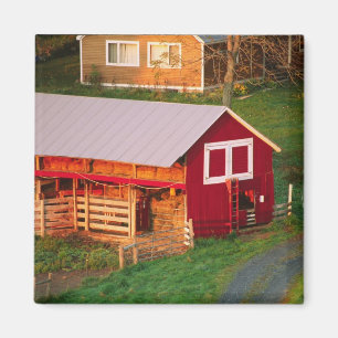 Ochtendwerkzaamheden op de boerderij. USA, Vermont Magneet