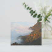 Ochtendwolken Pieniny Briefkaart (Staand voorkant)