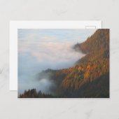 Ochtendwolken Pieniny Briefkaart (Voorkant / Achterkant)