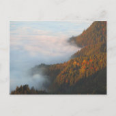Ochtendwolken Pieniny Briefkaart (Voorkant)