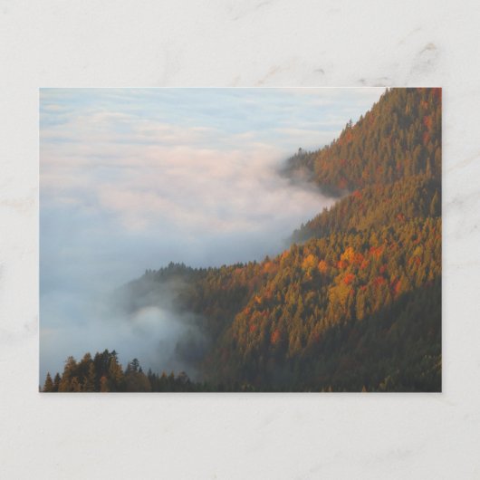 Ochtendwolken Pieniny Briefkaart (Voorkant)