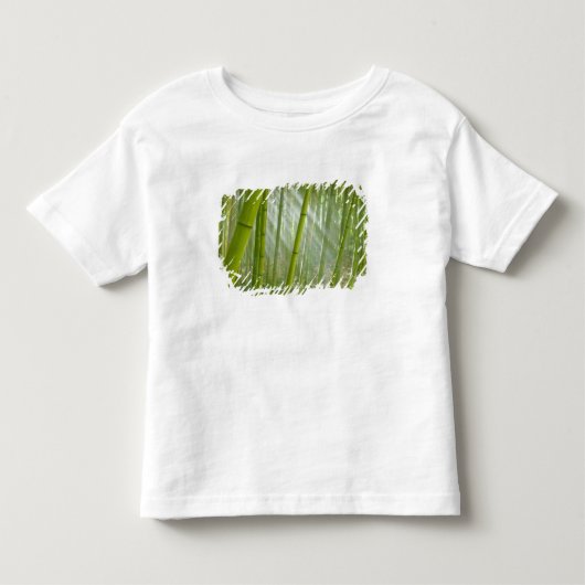 Ochtendzonlicht dat door bamboe filtert kinder shirts (Voorkant)