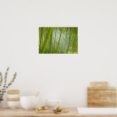Ochtendzonlicht dat door bamboe filtert poster (Keuken)
