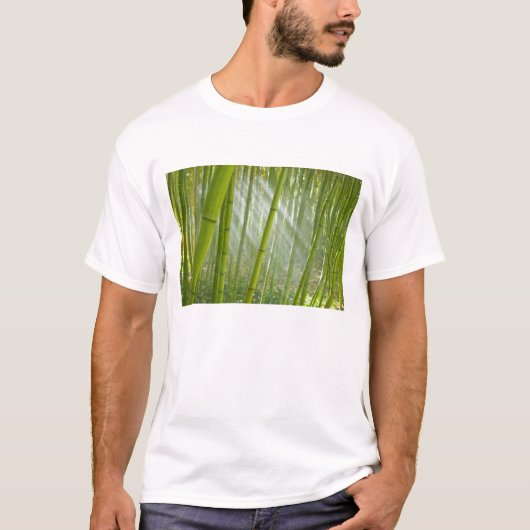 Ochtendzonlicht dat door bamboe filtert t-shirt (Voorkant)