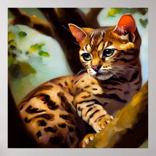 Ocicat Cat Poster (Voorkant)