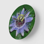 Ocoee flower Passiflora caerulea Passion flower Ronde Klok (Hoek)