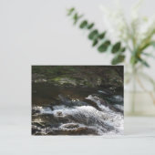 Ocoee, Tennessee Briefkaart (Staand voorkant)