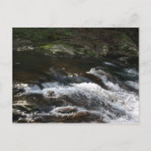 Ocoee, Tennessee Briefkaart (Voorkant)