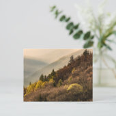 Oconaluftee Valley Overlook | North Carolina Briefkaart (Staand voorkant)