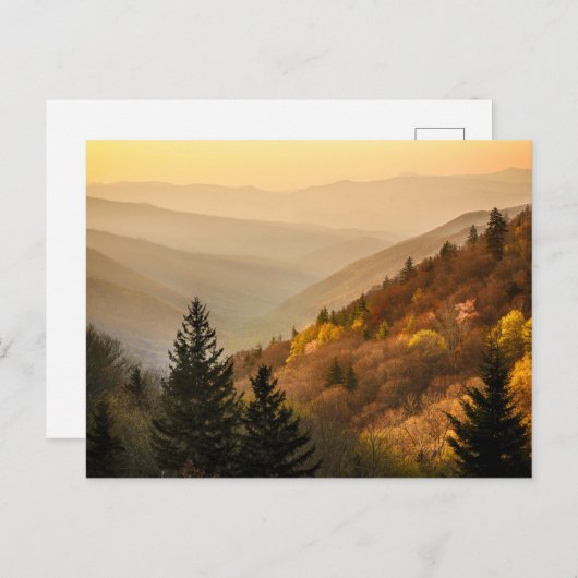 Oconaluftee Valley Overlook | North Carolina Briefkaart (Voorkant / Achterkant)
