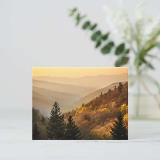 Oconaluftee Valley Overlook | North Carolina Briefkaart (Staand voorkant)