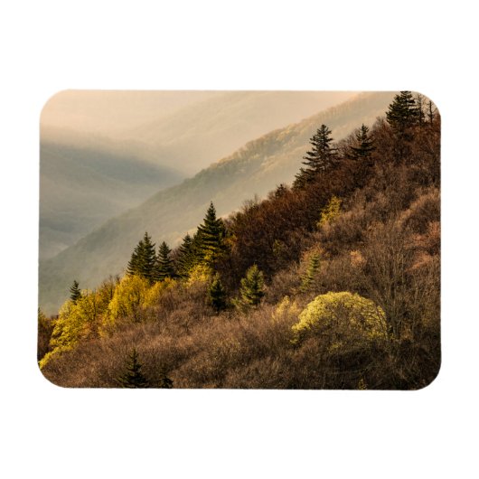 Oconaluftee Valley Overlook | North Carolina Magneet (Horizontaal)