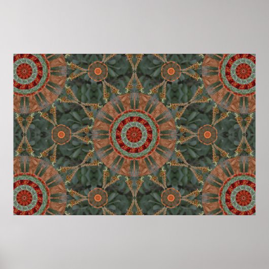 Ocotillo Array 1 Poster (Voorkant)