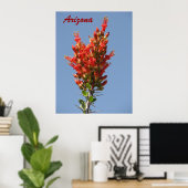 Ocotillo Bloom - Arizona Poster (Thuiskantoor)
