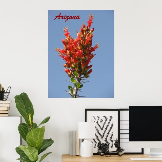Ocotillo Bloom - Arizona Poster (Thuiskantoor)