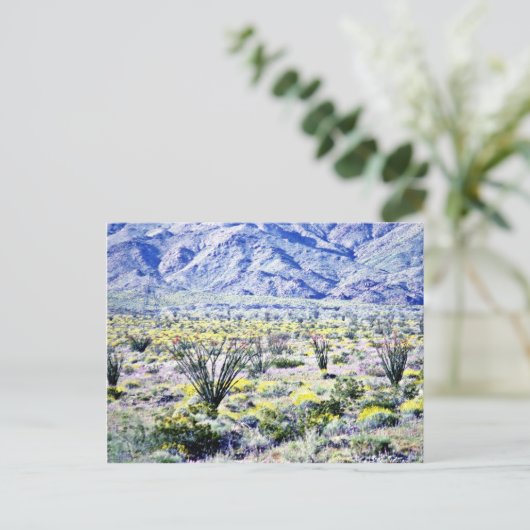 Ocotillo en woestijnbloemen in Bloom Briefkaart (Staand voorkant)