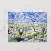 Ocotillo en woestijnbloemen in Bloom Briefkaart (Voorkant / Achterkant)