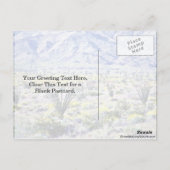 Ocotillo en woestijnbloemen in Bloom Briefkaart (Achterkant)