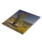 Ocotillo en woestijnsenna tegeltje (Zijkant)