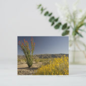 Ocotillo en woestinsenna briefkaart (Staand voorkant)