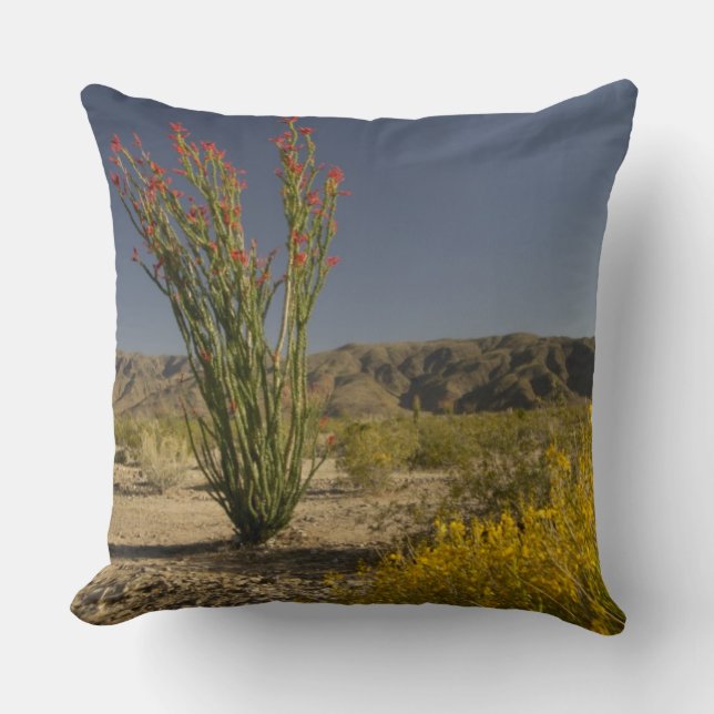 Ocotillo en woestinsenna kussen (Voorkant)