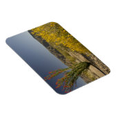Ocotillo en woestinsenna magneet (Rechterzijde)