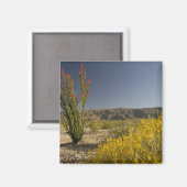 Ocotillo en woestinsenna magneet (Voorkant / Achterkant)