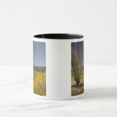 Ocotillo en woestinsenna mok (Midden)