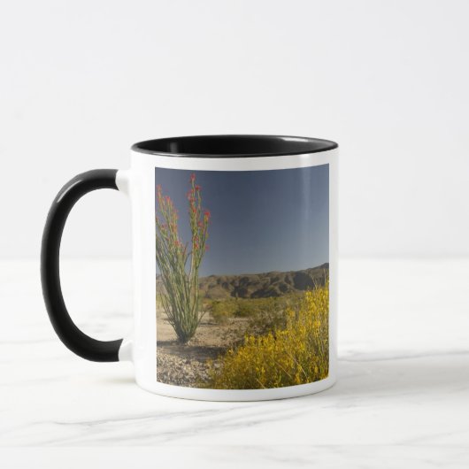 Ocotillo en woestinsenna mok (Links)