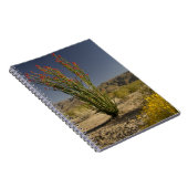 Ocotillo en woestinsenna notitieboek (Rechterzijde)