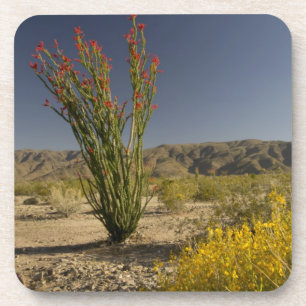 Ocotillo en woestinsenna onderzetter