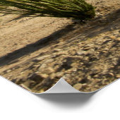 Ocotillo en woestinsenna poster (Hoek)