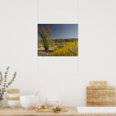 Ocotillo en woestinsenna poster (Keuken)