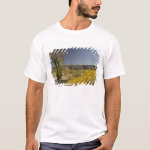 Ocotillo en woestinsenna t-shirt