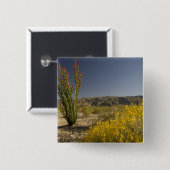 Ocotillo en woestinsenna vierkante button 5,1 cm (Voorkant /achterkant)