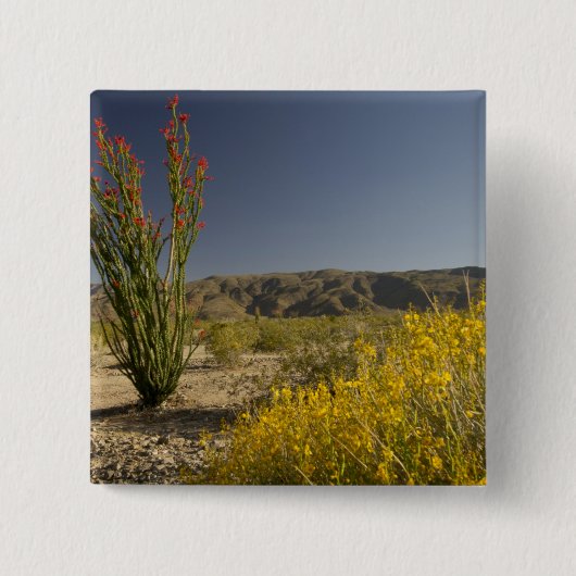 Ocotillo en woestinsenna vierkante button 5,1 cm (Voorkant)