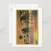 Ocotillo Flowers in Bloom, California DesertStat Briefkaart (Voorkant / Achterkant)