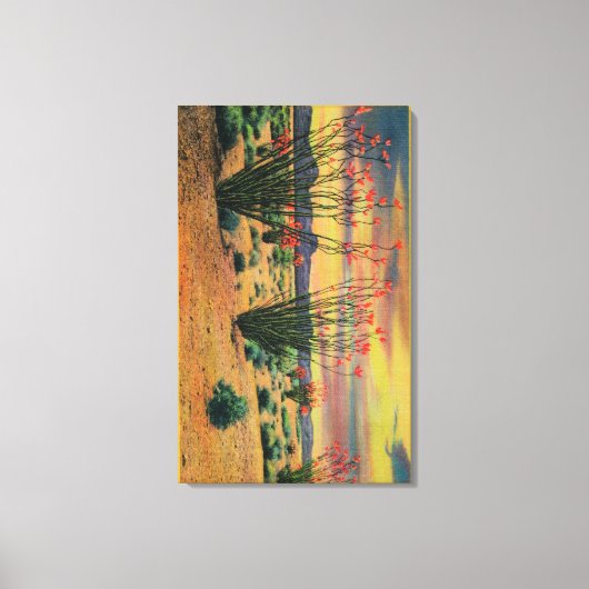 Ocotillo Flowers in Bloom, California DesertStat Canvas Afdruk (Voorkant)