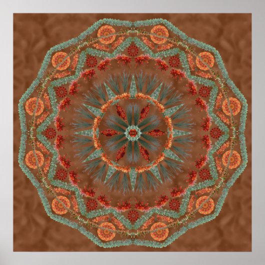Ocotillo Mandala 1 Poster (Voorkant)