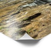 Ocqueoc Herfsten, Michigan Foto Afdruk (Hoek)