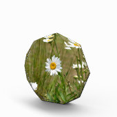 Octagonaal fotoblokken (Rechts)