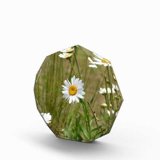 Octagonaal  fotoblokken (Rechts)